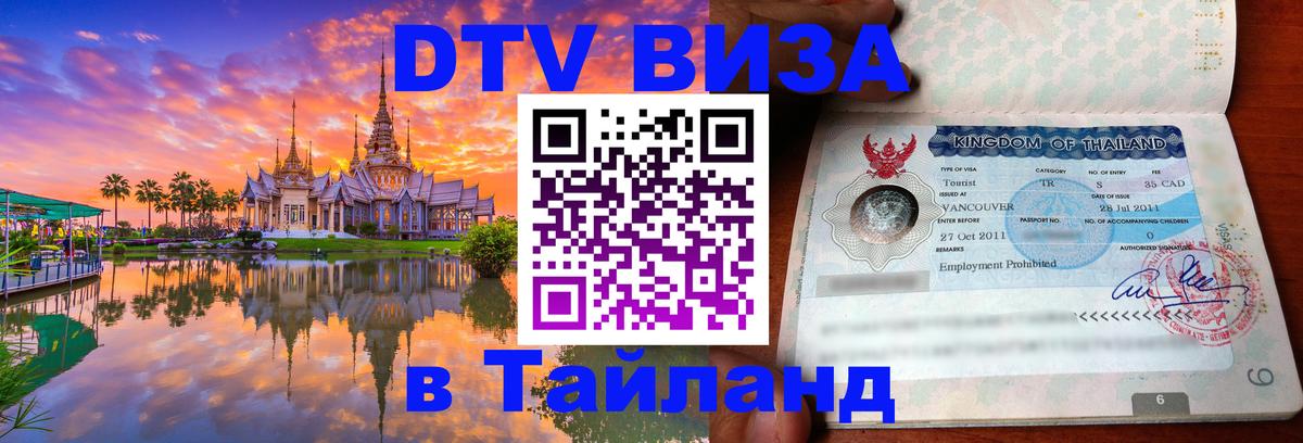 Оформление DTV визы под ключ: стоимость и тарифы, только загранпаспорт - Чебоксары  20.11.2025 